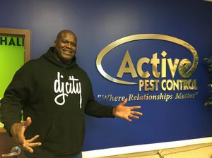 Image post by @shaq on Instagram