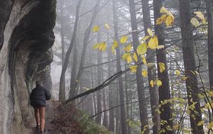Image post by @tourismabbotsford on Instagram