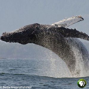 Image post by @kqed on Instagram