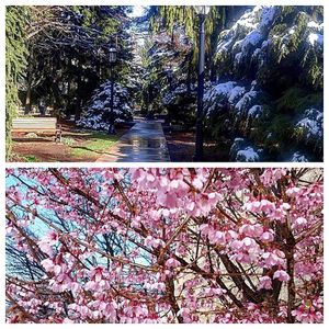 Image post by @hofstrau on Instagram