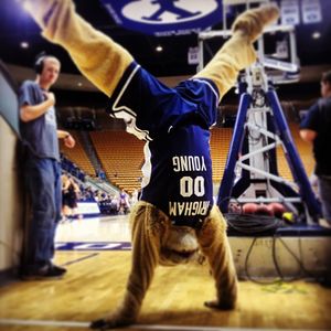 Image post by @cosmo_cougar on Instagram