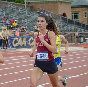 Image post by @elonxctf on Instagram