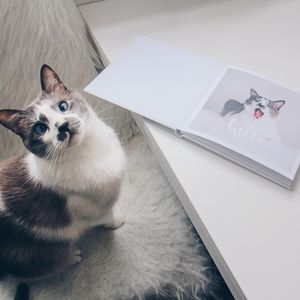 Image post by @saal_digital on Instagram
