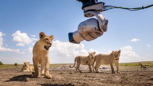 Image post by @reddigitalcinema on Instagram