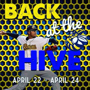 Image post by @burlington_bees on Instagram