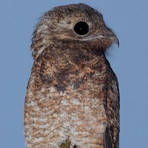 Image post by @ScienceChannel on Twitter
