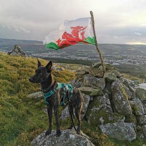 Image post by @welshgovernment on Instagram