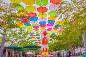 Image post by @univmiami on Instagram