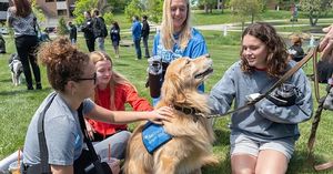 Image post by @umsl on Instagram