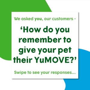 Image post by @yumove_usa on Instagram