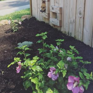 Image post by @annabellescurse on Instagram