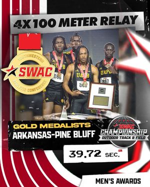 Image post by @theswac on Instagram