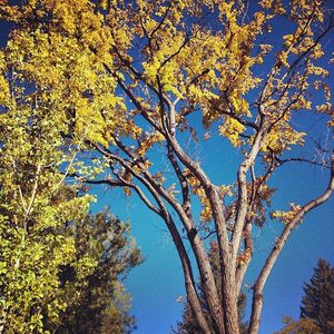 Image post by @nauflagstaff on Instagram