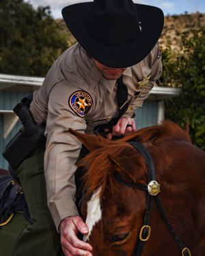 Image post by @vcsheriff on Instagram