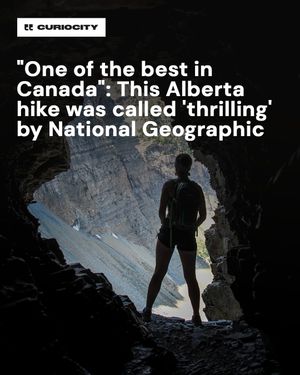Image post by @curiocitycalgary on Instagram