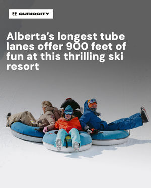 Image post by @curiocitycalgary on Instagram