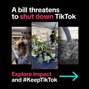 Image post by @tiktok on Instagram
