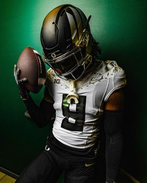 Image post by @goducks on Instagram