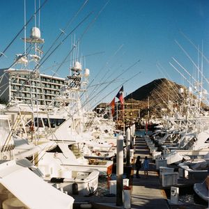 Image post by @radicalriss on Instagram