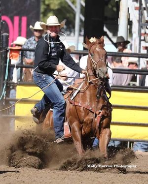 Image post by @ellensburgrodeo on Instagram