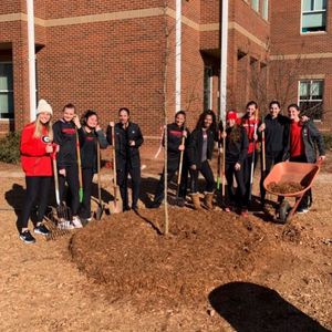 Image post by @ugasoftball on Instagram