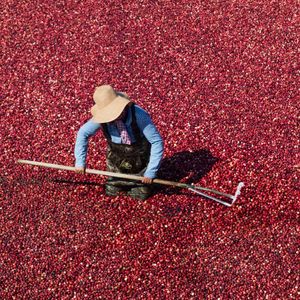 Image post by @drinkspindrift on Instagram