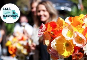 Image post by @australianturfclub on Instagram