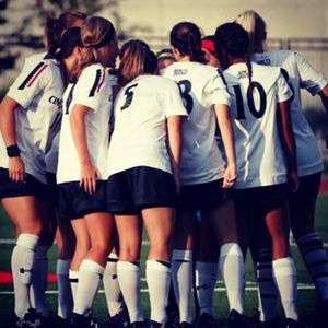 Image post by @gobearcatswsoc on Instagram