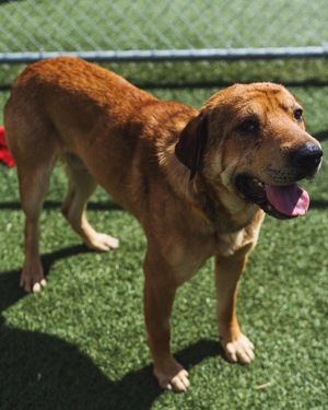 Image post by @cityofcalgary on Instagram