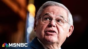 Video post by @msnbc on YouTube