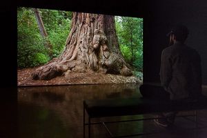 Image post by @drawingcenter on Instagram