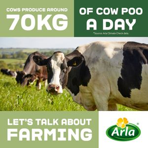Image post by @arladairyuk on Instagram