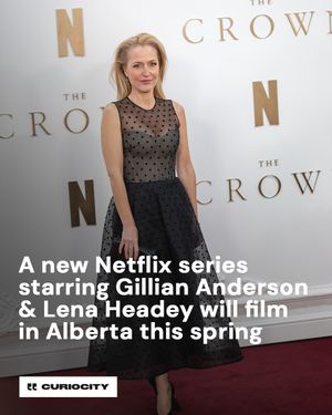 Image post by @curiocitycalgary on Instagram