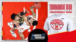 Image post by @terrapinhoops on Twitter