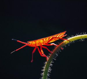 Image post by @discovery on Instagram