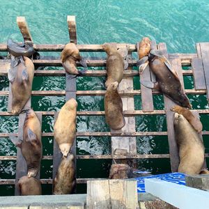 Image post by @reel_jamie on Instagram