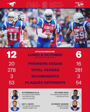 Image post by @mtlalouettes on Instagram