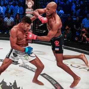 Image post by @bellatormma on Instagram