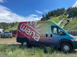 Image post by @wanabrands on Instagram