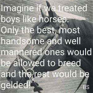 Image post by @equineidsolutions on Instagram