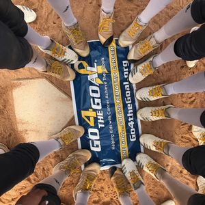 Image post by @rhodysoftball on Instagram