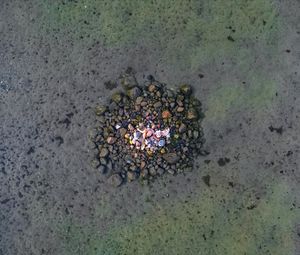 Image post by @sully.612 on Instagram