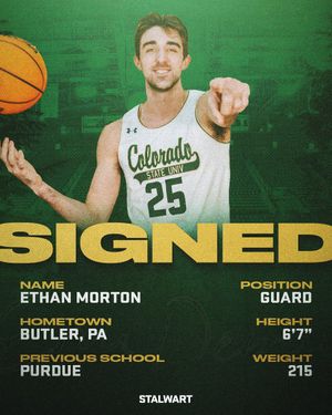 Image post by @CSUMBasketball on Twitter/X
