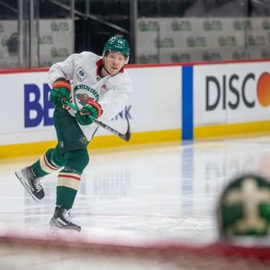 Image post by @minnesotawild on Instagram