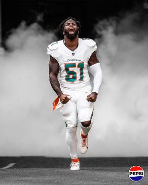 Image post by @miamidolphins on Instagram