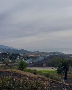 Image post by @pepperdinewaves on Instagram