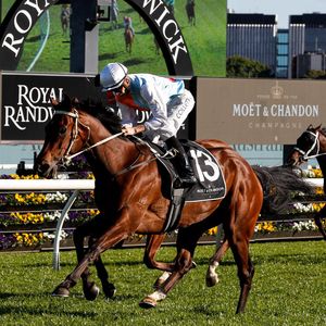 Image post by @australianturfclub on Instagram