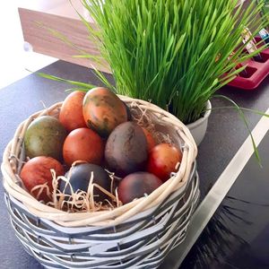 Image post by @go.gastro on Instagram