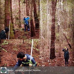Image post by @ucsc on Instagram