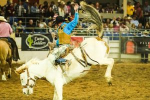 Image post by @rodeoscottsdale on Twitter